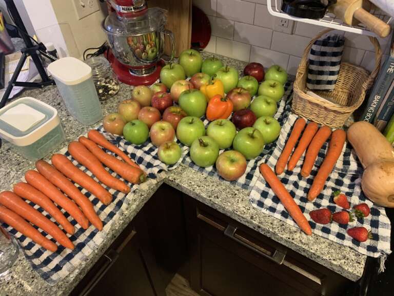 Results From April’s Food Waste Experiment