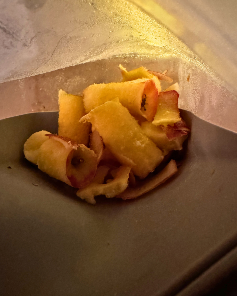 Food Waste - apple cores in stasher bag
