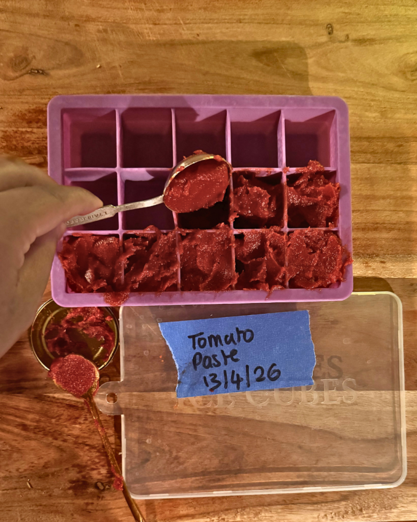 Food Waste - Tomato paste in ice cube tray
