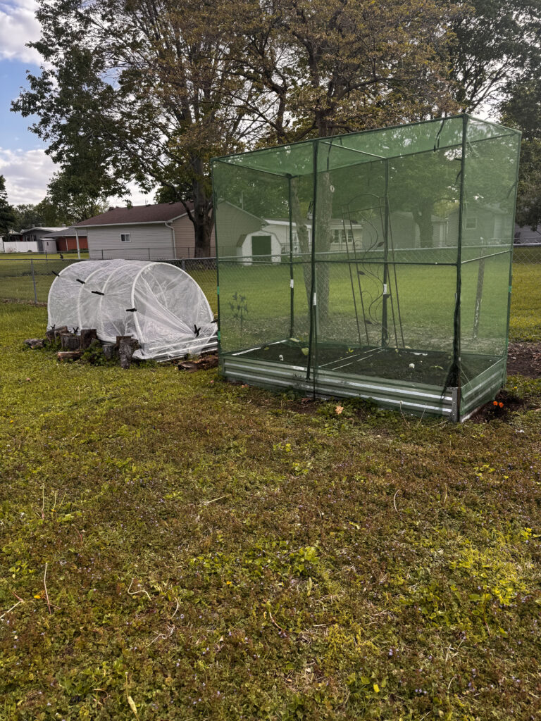 Raised Bed Gardens - covered raised beds, one is a plastic hoop covering, the other is a 6ft tall green net covering.