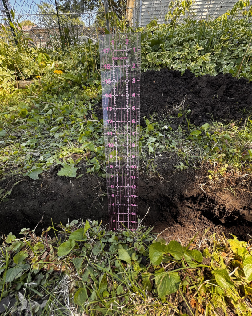 Vertical Pumpkin Gardening - quilting ruler showing depth of trench