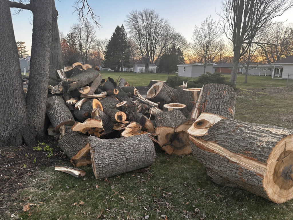 Vertical Pumpkin Gardening - Chopped wood
