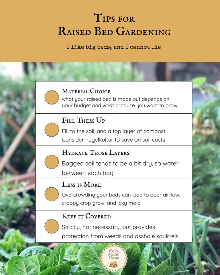 Pull up Your Plants: A Starter Guide to Raised Bed Gardens