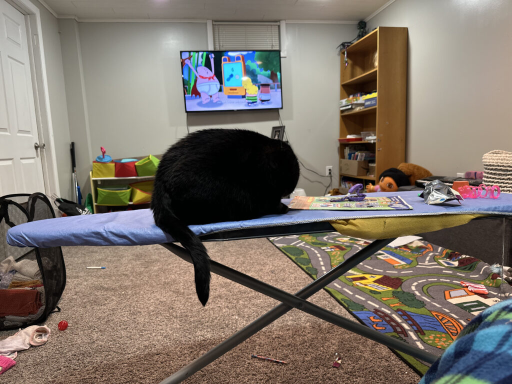 Cat on ironing board, kids show on in background with toys and laundry all around